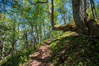 幌岩山登山遊歩道の風景