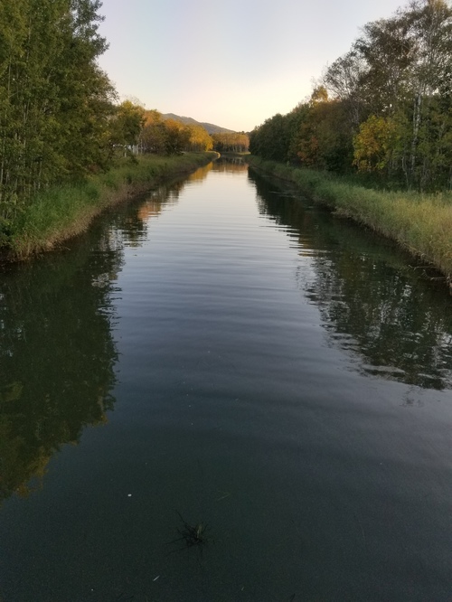 町長特別賞【写真部門】