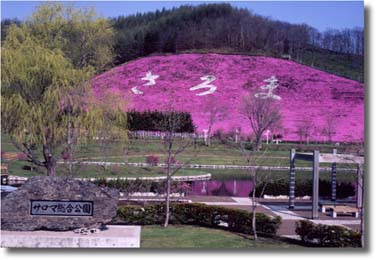 佐呂間町総合公園の様子を写した画像